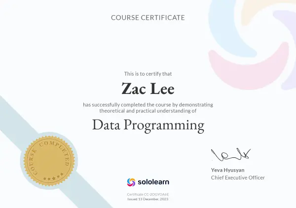 Data Programing Certificate